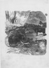 Thumbnail 0014 of An alphabet of quadrupeds