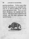 Thumbnail 0036 of An alphabet of quadrupeds