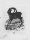 Thumbnail 0038 of An alphabet of quadrupeds