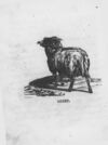 Thumbnail 0078 of An alphabet of quadrupeds