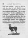 Thumbnail 0092 of An alphabet of quadrupeds