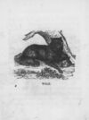 Thumbnail 0094 of An alphabet of quadrupeds