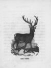 Thumbnail 0118 of An alphabet of quadrupeds