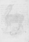 Thumbnail 0125 of An alphabet of quadrupeds