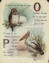 Thumbnail 0010 of Birds of the air abc