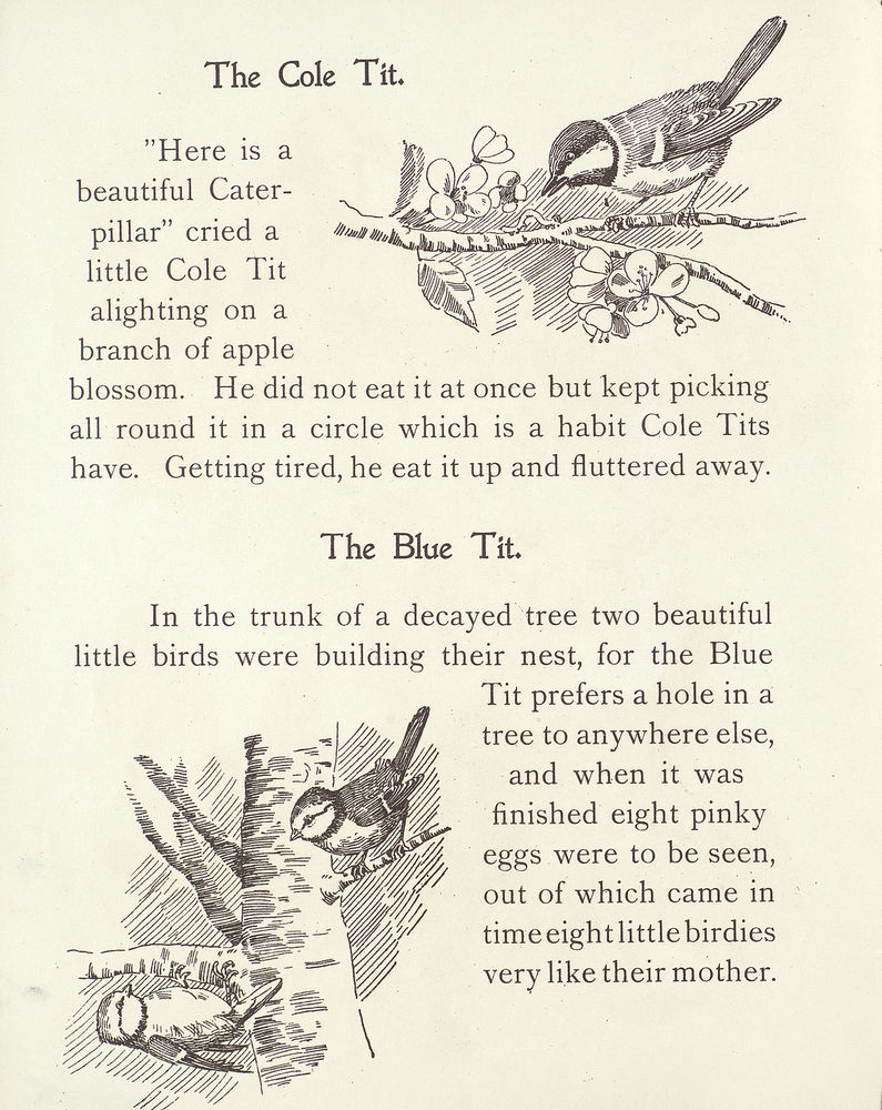 Scan 0006 of Birds in their homes