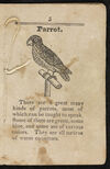 Thumbnail 0007 of A history of birds