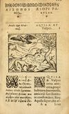 Thumbnail 0121 of Aesopi Phrygis Fabulae