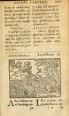 Thumbnail 0169 of Aesopi Phrygis Fabulae