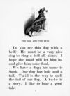 Thumbnail 0008 of My pet book