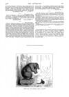 Thumbnail 0079 of St. Nicholas. February 1888