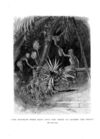 Thumbnail 0004 of St. Nicholas. April 1887