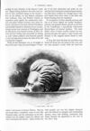 Thumbnail 0031 of St. Nicholas. October 1891