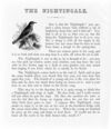 Thumbnail 0046 of Harrison Weir